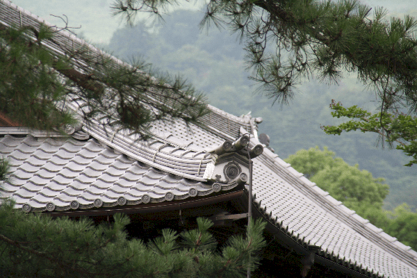 Roofline of the temple courtyard