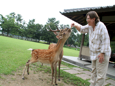Susan feeding the dear, deer