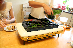 Takoyaki pan, heating and filling with negi (green onion)