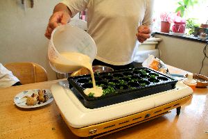 filling with the batter