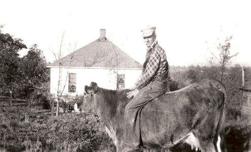 Our Papa (Paw Paw) on a cow