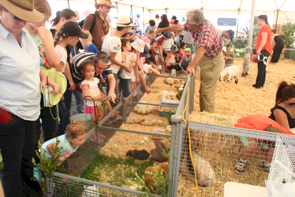 Petting Zoo for the kids. OK, kids younger than me. :)