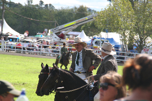 horse and riders nicely dressed and groomed