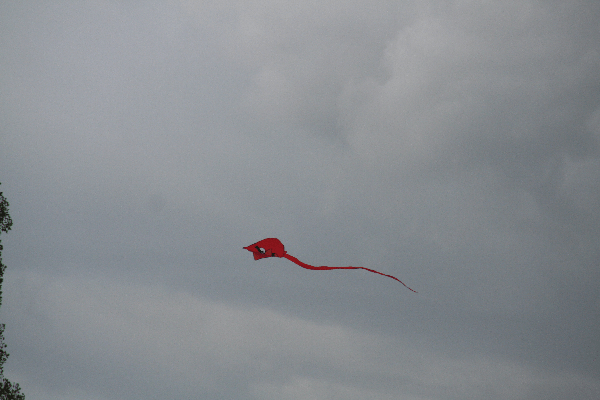 Kite Flying And there were several balloons lost to the clouds.