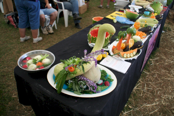 A Beautiful Swan Fit For Feasting