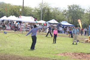 Whip cracking