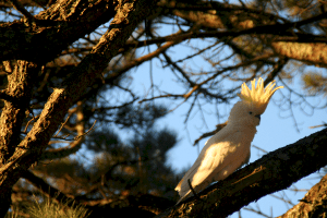 I'm so pretty! Thanks for looking! HAVE A NICE DAY! :)