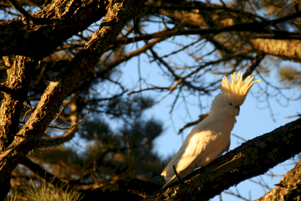 I'm so pretty! Thanks for looking! HAVE A NICE DAY! :)