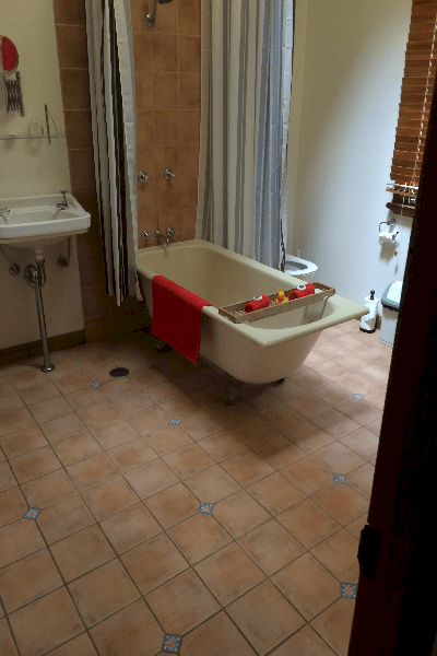 Big room bath with shower and claw legged tub and the room had a skylight