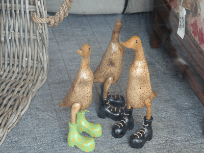 Ducks or Kiwi birds in boots? I dunno, but they were cute, so I had to take this! :)