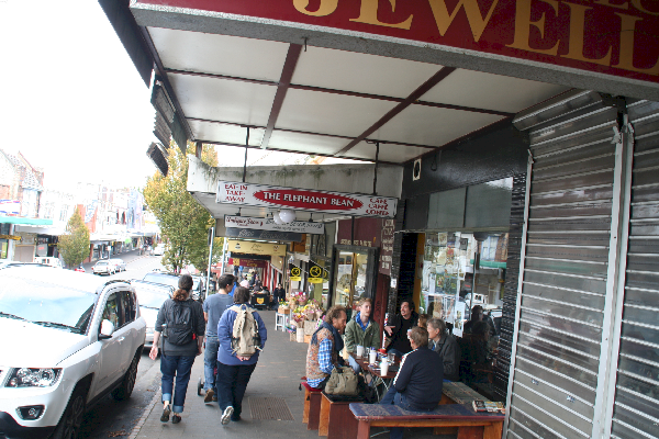 The Elephant Bean Cafe