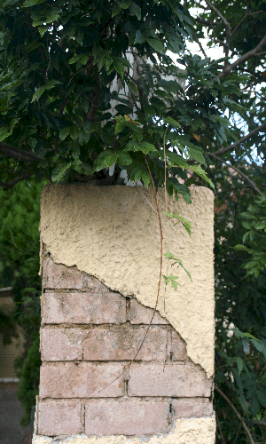 Nice wall