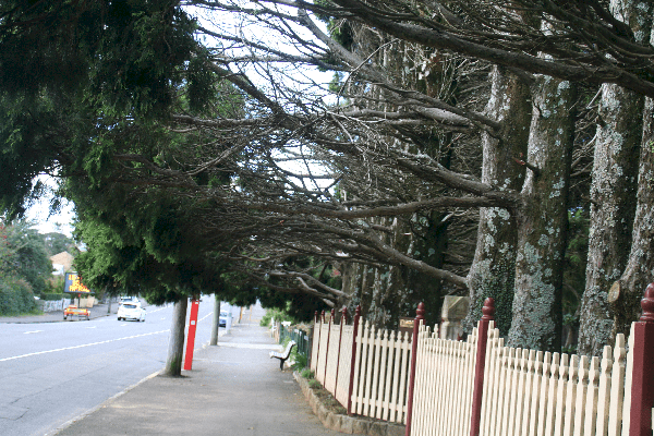 Interesting Walk II  (same walk, different view)