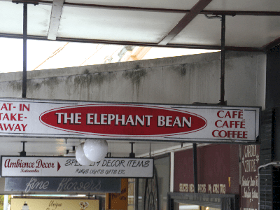 The Elephant Bean Cafe (Awesome coffee)
