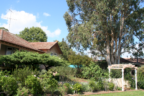 A lovey Home in Camdem