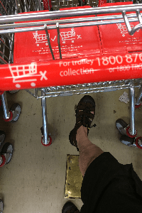 Trolley1
