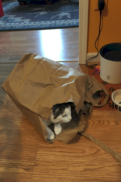 A sense of wholeness and well-being is, in the bag! :)