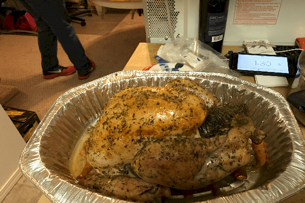 The first of 2 turkeys, the beginning of its "delicious history"