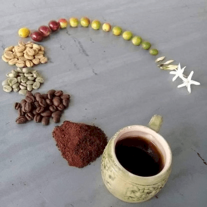 CoffeeCycle
